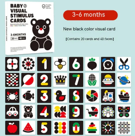 Baby's First Black and White Book- Boost Cognitive and Visual Development