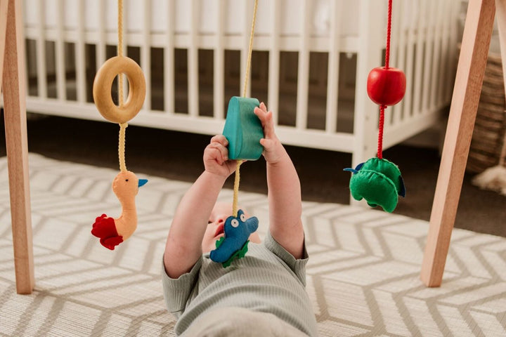 Wooden Non Toxic Baby Gym Plum Thanatos